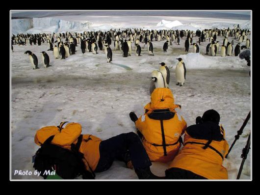 Snow Hill Island Safari, Antarctica