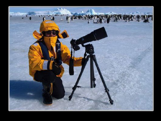 Snow Hill Island Safari, Antarctica