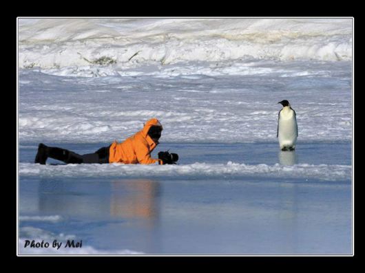 Snow Hill Island Safari, Antarctica