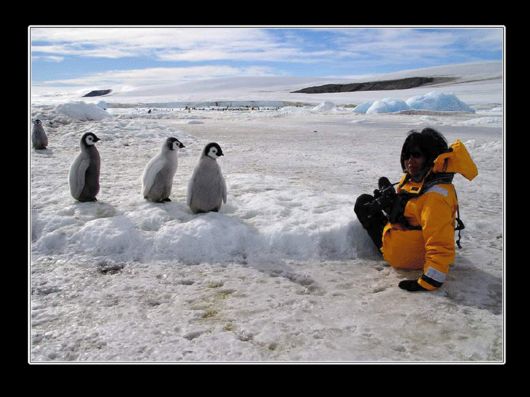 Snow Hill Island Safari, Antarctica