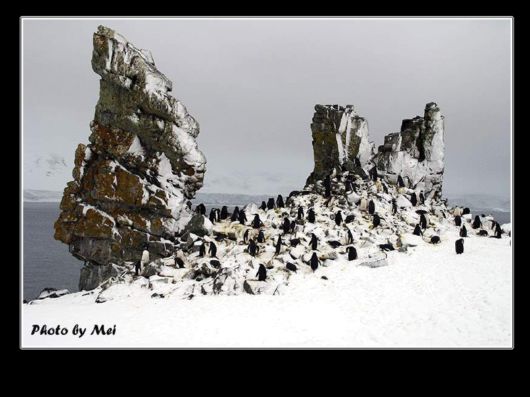 Snow Hill Island Safari, Antarctica