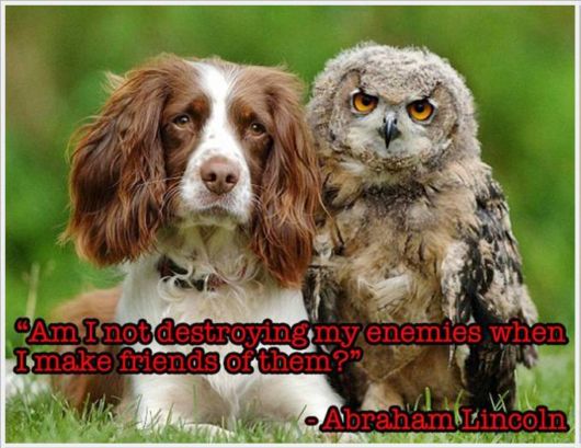 Friendship Quotes With Animals Pictures | Funzug.com