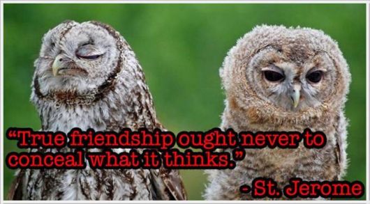 Friendship Quotes With Animals Pictures | Funzug.com