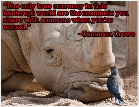 Friendship Quotes With Animals Pictures