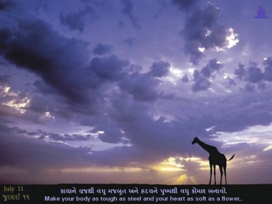 The Pearls Worth Pondering