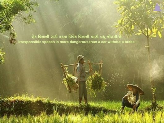 The Pearls Worth Pondering