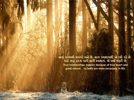 The Pearls Worth Pondering