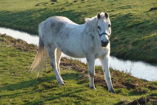 The Beautiful Holland Photography