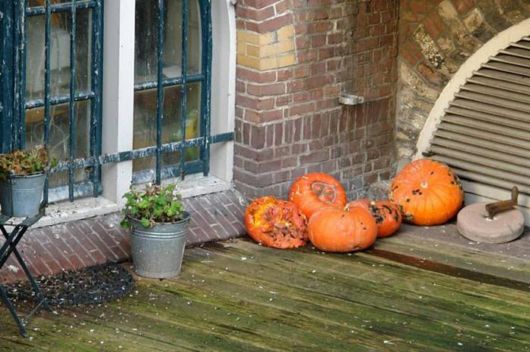 The Beautiful Holland Photography