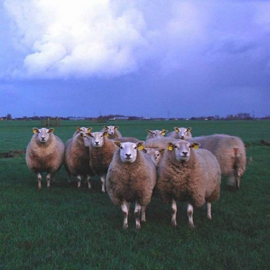 The Beautiful Holland Photography