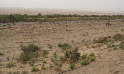 The Longest Highway In The Desert 