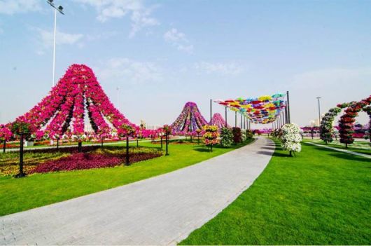 The Miracle Garden In Dubai