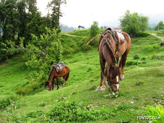 Stunning Gulmarg Worlds Highest Gondola