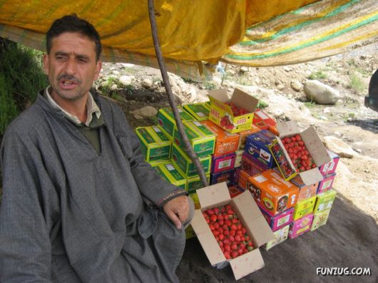 Stunning Gulmarg Worlds Highest Gondola