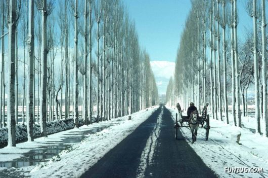 Stunning Gulmarg Worlds Highest Gondola