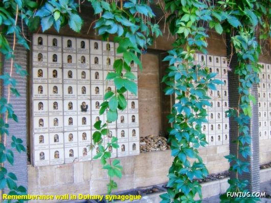 A Trip to Budapest, Hungary