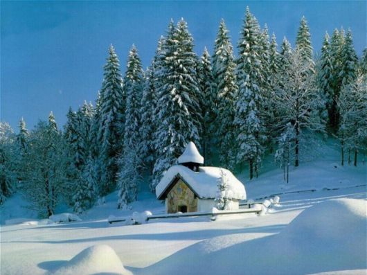 A Trip to Zurich, Switzerland