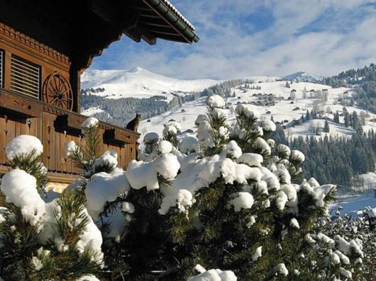 A Trip to Zurich, Switzerland