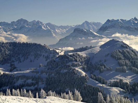 A Trip to Zurich, Switzerland