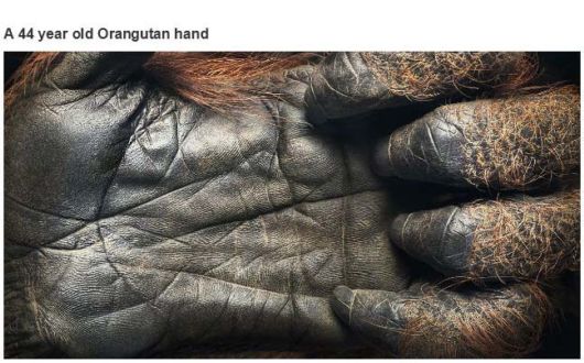 These Photos Have Incredible Stories To Tell