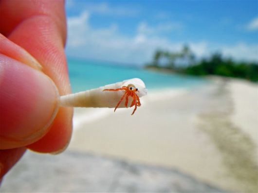 Amazing Pictures Of Animals At The Perfect Timing