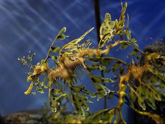 Deep Inside The Ocean