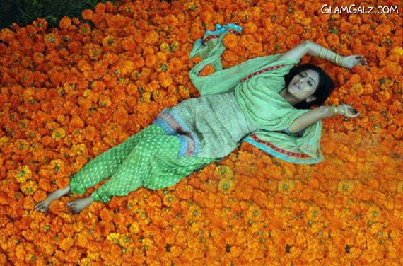 Click to Enlarge -Beautiful Aditi Sharma Wallpapers