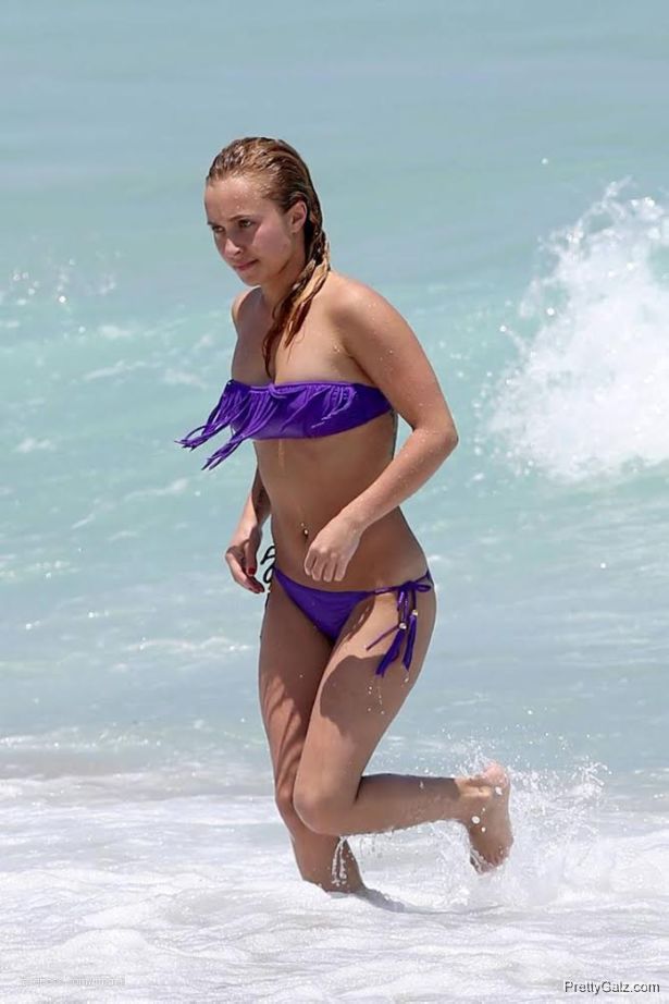 Hayden Panettiere Bikini Candids