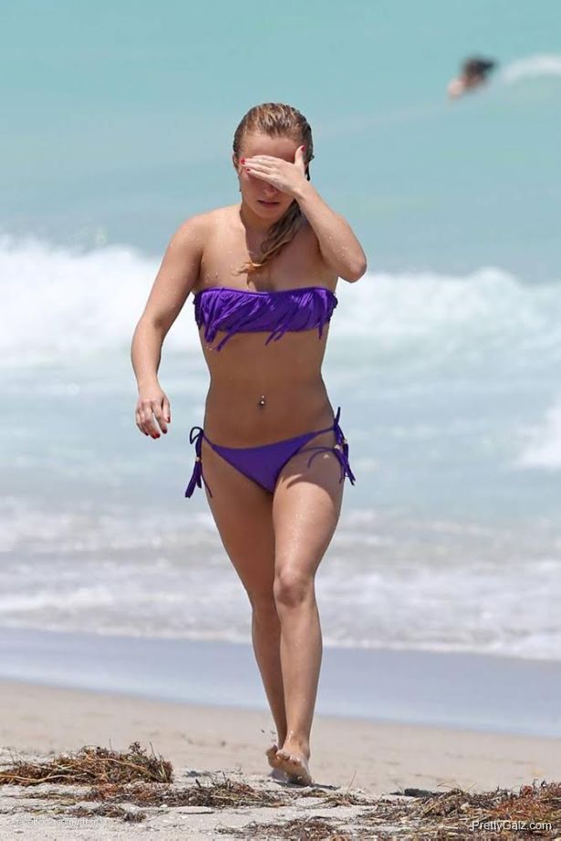 Hayden Panettiere Bikini Candids